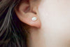 Scarab Earrings - Sterling Beetle Earrings